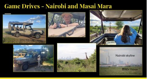 safari drives collage
