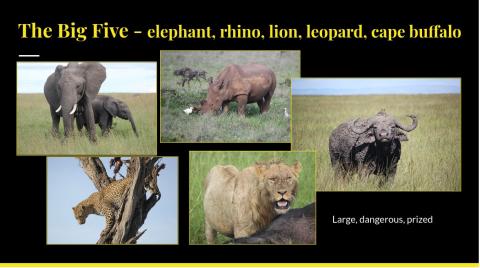 big five collage